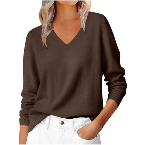 Cashmere Jumpers for Women V Neck Sweater Ladies Casual Lightweight Plain Pullover Long Sleeve Tops Dressy Fine Knit Jumpers for Women Fall Winter Tunic Blouse T-Shirt for Work Office Brown