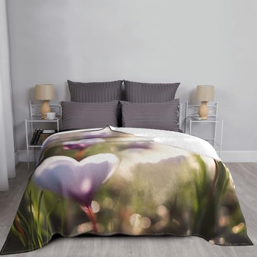 Couverture microfibre OUSIKA en micro polaire haut de gamme 150x127 cm - 7