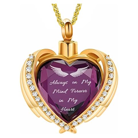 Hearbeingt Heart Cremation Jewelry Crystal Urn Necklace for Ashes Stainless Steel Heart Keepsake Pendant Memorial Urn Jewelry Gifts for Women Men Cover