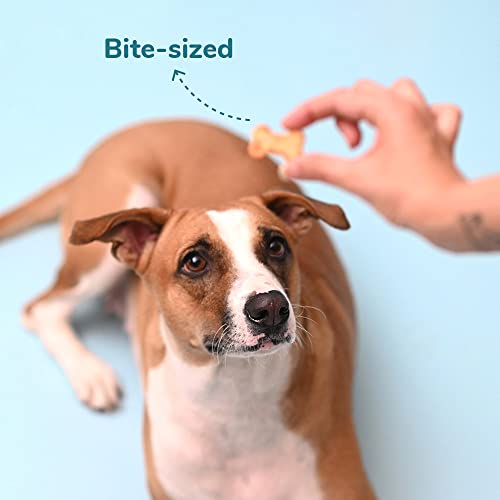 Heads Up for Tails Yummy in My Tummy Pumpkin and Carrots Veg Dog Biscuits - 320G, All Life Stages