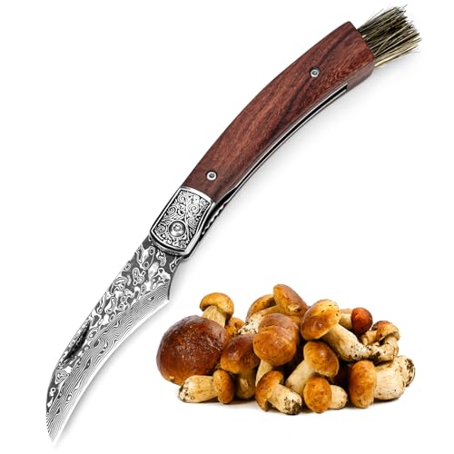 DRACHENADER Pilzmesser mit Bürste/Pinsel (integriert) Schwammerlmesser aus 67 Lagen Vg10 Damaststahl Handgeschmiedet 42a konform Mushroom Knife (Liner Lock) Zwihandmesser für Camping