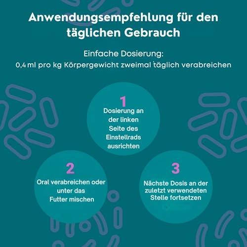 Protum Probiotische Hundepaste 30ml – Präbiotika & Probiotika für Hunde zur Stabilisierung der Darmflora, Unterstützung des Verdauungssystems, schneller Hilfe bei Durchfall Hund für mehr Wohlbefinden