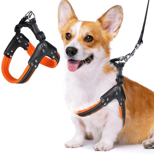 No-Pull Dog Harness- Adjustable, Comfortable Pet Halter Harness,No Choke Pets Padded Mesh Pet Vest Straps, Walk, Train Puppy,Dog Harnesses for Medium Large Dog,Orange,S No-Pull Dog Harness- Adjustable, Comfortable Pet Halter Harness,No Choke Pets Padded Mesh Pet Vest Straps, Walk, Train Puppy,Dog Harnesses for Medium Large Dog,Orange,S