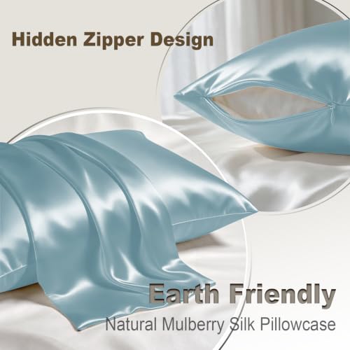 Image of LYSHIN Silk Pillow Cases Standard Size with Hidden Zipper, Haze Blue | 19 Momme Mulberry Silk Pillowcase for Skin and Hair, Anti-Acne, Hypoallergenic, Cooling, Beauty Sleep, Gifts for Women