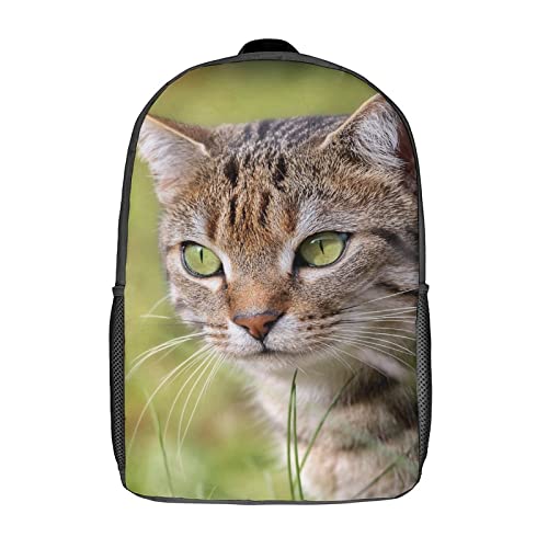 Mochila de gato juvenil para el instituto y salidas casuales de fin de semana
