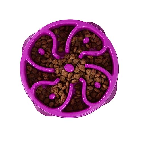 Outward-Hound-Fun-Feeder-Slo-Bowl-Slow-Feeder-Dog-Bowl-MediumMini-Purple