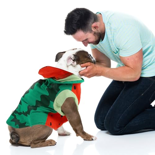 Disfraz para perro modelo sandía talla XL miniatura 7