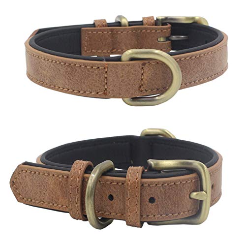 Mcdobexy  ̎ x[VbN pbh{v 킢  L ^ ^ (M,uE)