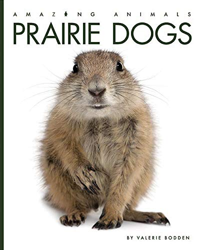 Prairie dogs (amazing animals)