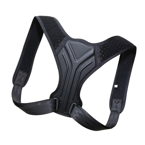 Ǝ̎pp̉KȃAbp[ƃobNu[X\ȃXg[gi[풲\ȃtobN