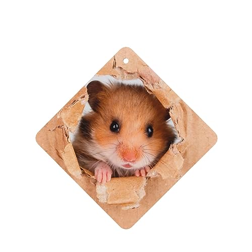 Funny Hamste ԗpF p[\iCYꂽXCX J[A}Zs[^ubg ݂艺F܃J[h [vt 4 ԂƂ̑p