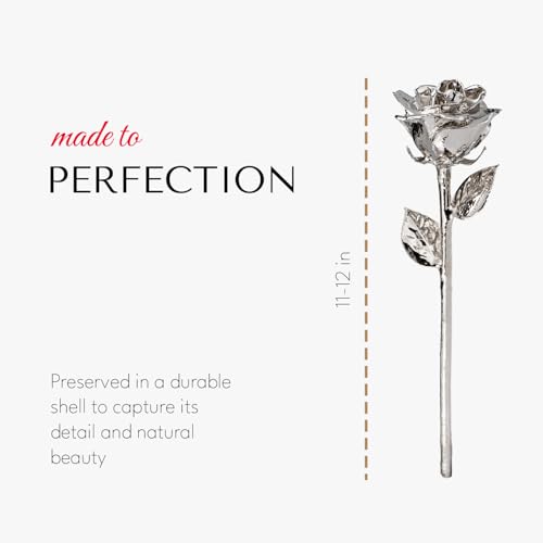 Image of Forever Rose Real Rose Dipped in Platinum, Bloom Box and Phantom Vase