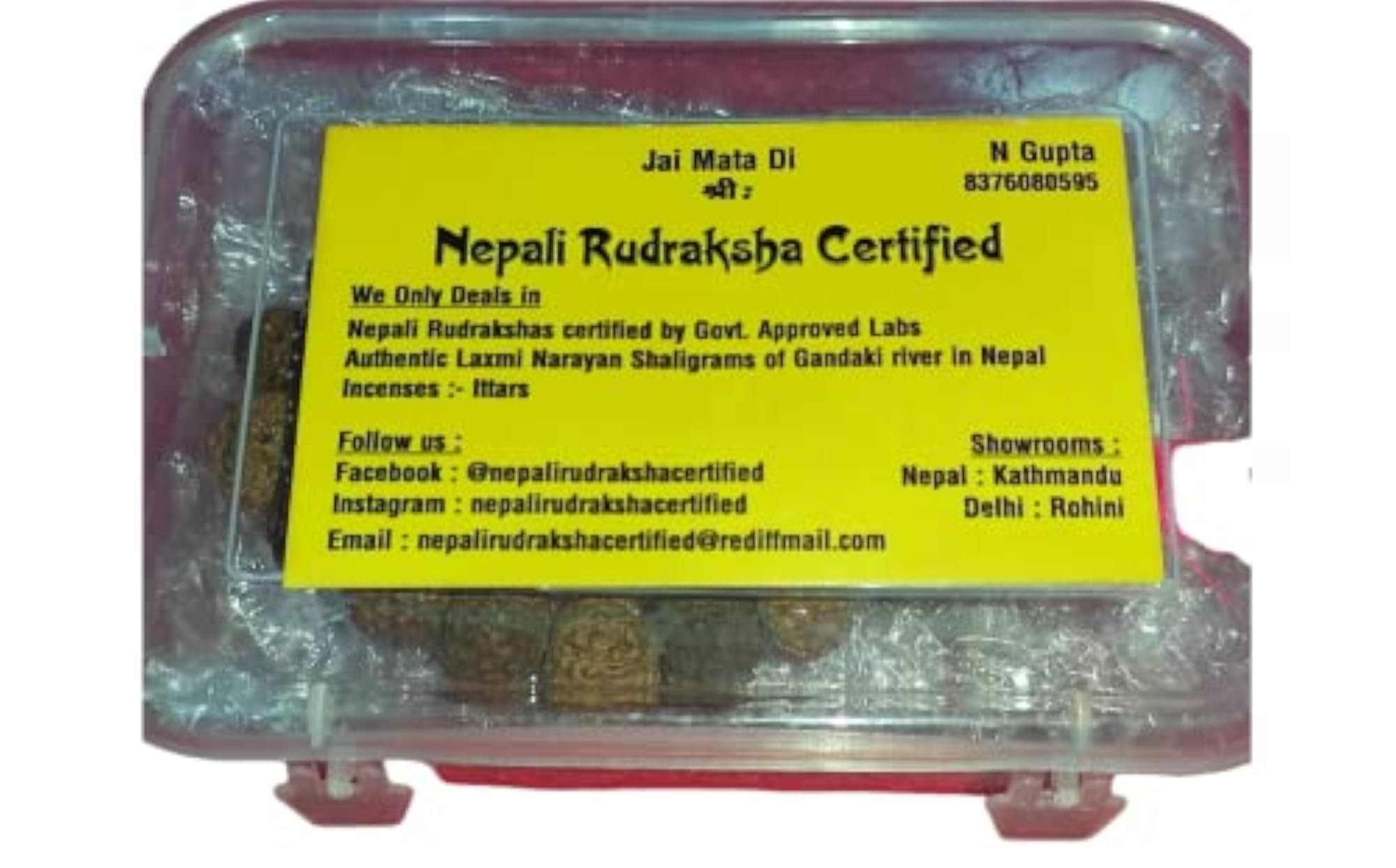 7 Mukhi Nepali Rudraksha with IGL Certification