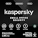 Produktbild Kaspersky small office security for workstations + fileserver (5 postes + 1 serveur de fichiers/1 an )