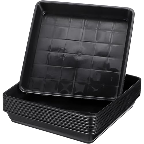 BIUDECO vX`bNAؔgC XNGA~̓gC ϐ󂯎M yh~ |p 8