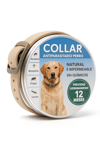 Collar antiparasitario Perros pequeños medianos y Grandes | antipulgas, Garrapatas y Mosquitos | Previene Leishmaniosis | Protección Natural Sin Químicos | Ajustable, Impermeable