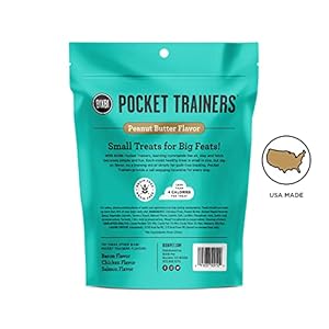 BIXBI Pocket Trainers, Peanut Butter (6 oz, 1 Pouch) – Small Training Treats for Dogs – Low Calorie and Grain Free Dog Treats, Flavorful Pocket Size Healthy and All Natural Dog Treats
