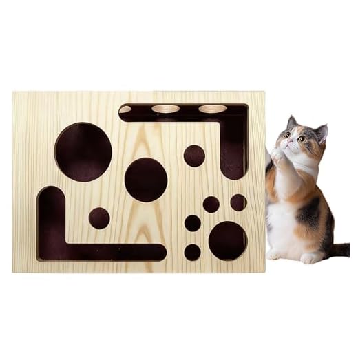 Interactive Cat Scratch Puzzle Enrichment Box