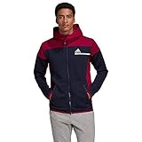 Corte holgado adidas ZNE AERORDY FZ Sudadera, Hombre, Tinley/ Bayint, XS