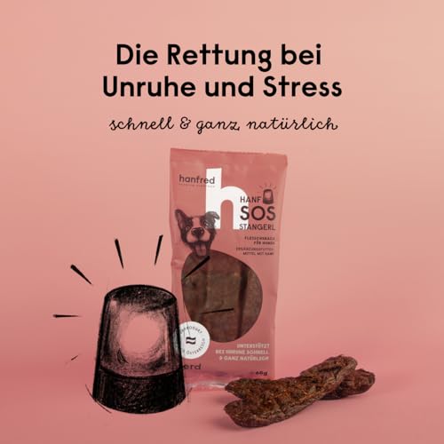 Beruhigungsmittel für Hunde – Hanfred SOS Stangerl mit Pferdefleisch, Anti-Stress Snacks bei Angst & Nervosität – natürliche Hilfe bei Silvester, Autofahren – sofortwirkung & für Allergiker (3 x 65g)