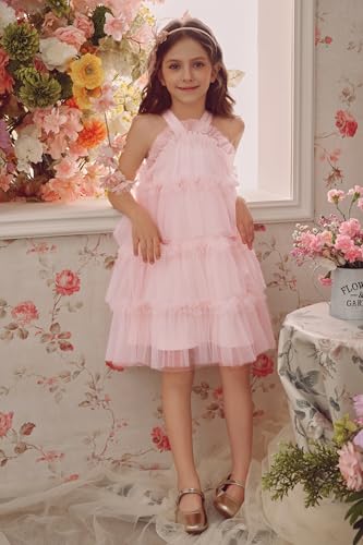 Tutu Dress for Girls - Toddler Baby Girl Princess Dress Girl Dresses for Wedding Birthday Photo Shoot Outfit2