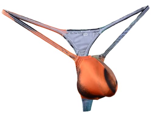 Mens Bulge Pouch G-String Thong Colorful Zebra Bikini Underwear WSS121