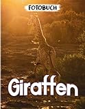  Giraffen: Afrikanisches Huftier-Bilderbuch zur Dekoration für jeden zum Entdecken  Mit über 40 Seiten hochwertigen Bildern zur Entspannung