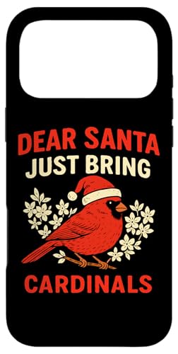 bh J[fBi o[h NX}X AO[NX}X Z[^[ T^ X}zP[X iPhone 17 Pro Max p