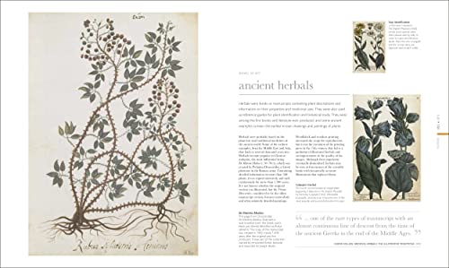 The Science of Plants: Inside Their Secret World (DK Secret World Encyclopedias)