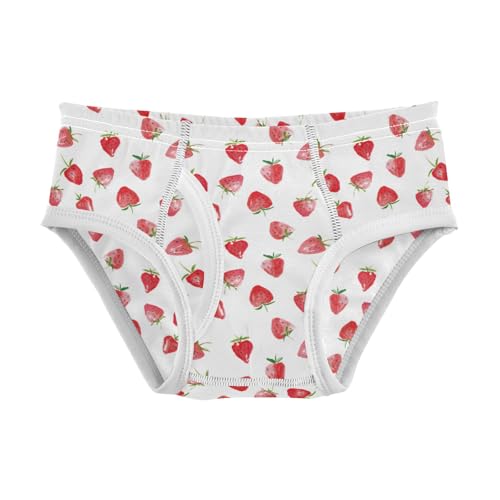 Boys' Exclusive Briefs Toddler Underwear 95% Combed Cotton Boxerbriefs 2T Strawberry Pattern 35