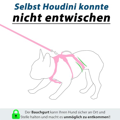Wuffley Hundegeschirr mit Leine, Sicherheitsgeschirr Hund Ausbruchsicher, Anti Zug Hundegeschirr mit Assistenzgriff und Reflektierende, Leichtes Verstellbare Geschirr für Mittelgroße Hunde (Rosa,XS)