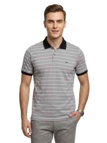 Image of Park Avenue Men Slim Fit Stripe Pattern Pure Cotton Polo Neck Half Sleeve Casual T-Shirt
