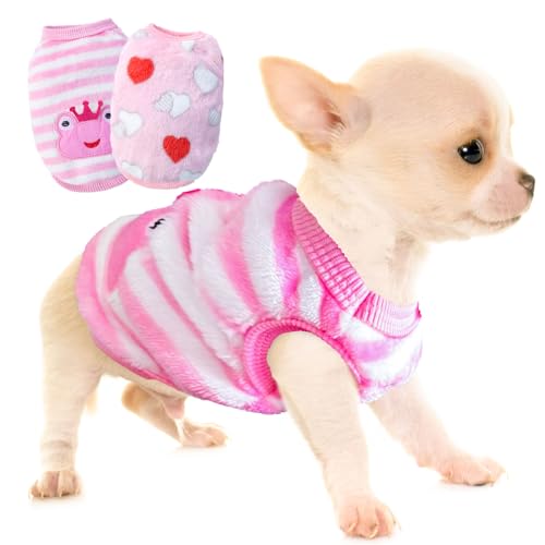 XXS Dog Clothes The 15 best products compared Wild Explained