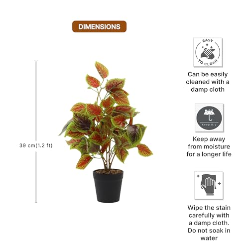 Image of Habere India-All the Cultures Fabricating India Artificial Plant with Pot for Home Decor | Fake Plants for Living Room Decoration | Artificial Plants for Decoration (Design 01; L21 x W21 X H39 cm)