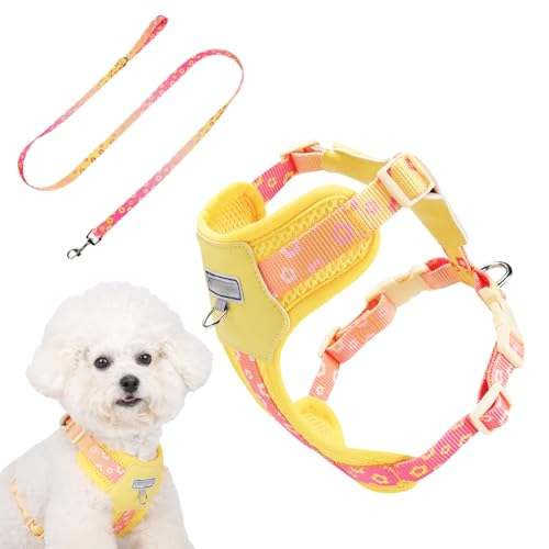 Arnés para perros – Arnés para cachorros | Chaleco transpirable ajustable para parque deportivo al aire libre, raza pequeña, senderismo, servicio de aventura, trabajo, coche, viajes