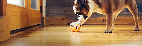 WEST PAW JUGUETE ZOGOFLEX QWIZL S 14CM MANDARINA