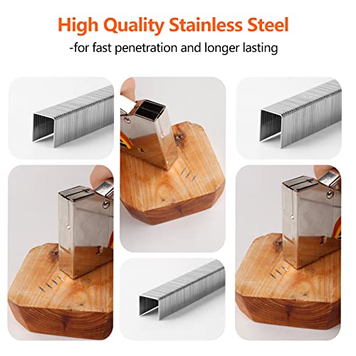 Image of Heavy Duty T50 Staples 2000-Count 4 Sizes 304 Stainless Steel