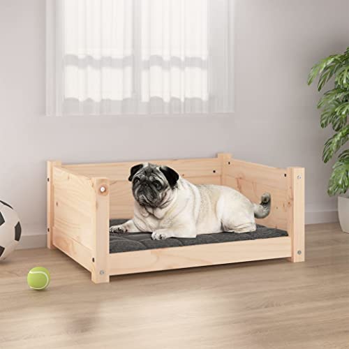 Maximum Pet Products Hundebett Wasserfest Größe XL - Violett, Robust & Kausicher, Für Aktive Hunde