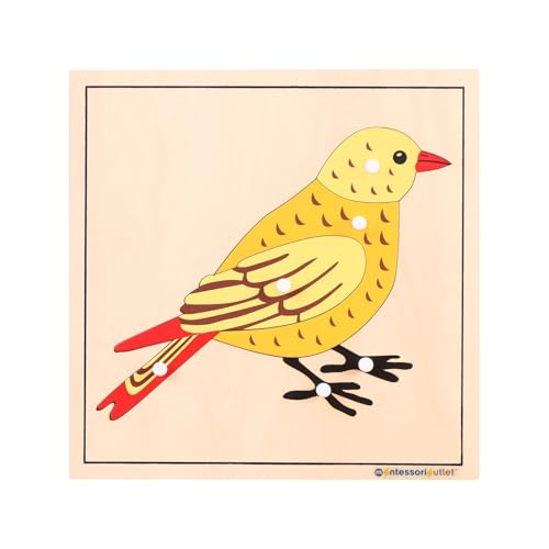 Image of Montessori Bird Anatomy Puzzle, Wooden Body Parts Learning Toy, Preschool Science Puzzle for Kids Ages 3-6, Classroom & Homeschool, Baltic Birch