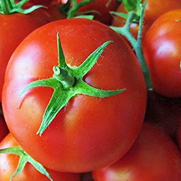 CRTGWGerminazione I Semi: 100 Semi: Saint Pierre Tomato Francese Pomodoro da 3 Pollici, Rosso, Rotondo, pomodori