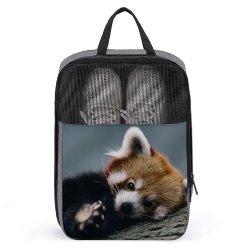 p_ V[YP[X V[YobO h ho hL y C[P[X V[Y C AEghA wZ ƒp jp [ s o ^ѕ֗