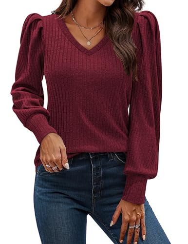 HOTOUCH Women's Knit Shirt Soft Puff Long Sleeve Blouse Tops Lightweight V Neck Tunic XS-XXL