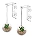 Impresa Suction Cup Window Plant Hanger - 2-Pack, Glossy Green Acrylic Easy Install Hook for Hanging Plants - Indoor & Outdoor Use Window Suction Cups & Hooks