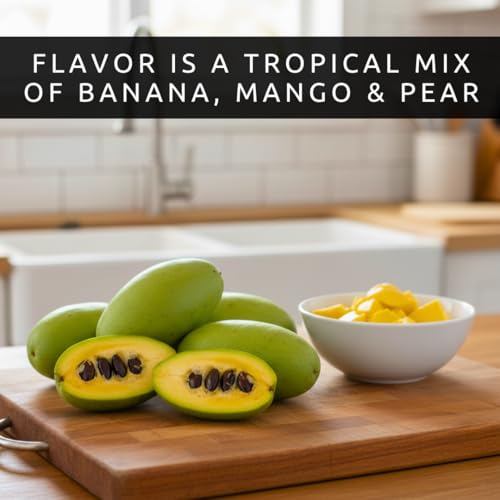 Paw paw Tree Seeds for Planting | 10 Seeds | Edible Fruit Tree. Fun and Easy to Grow Your Own Food, Exotic Pawpaw Tree Seeds | Rare Gardening Gift