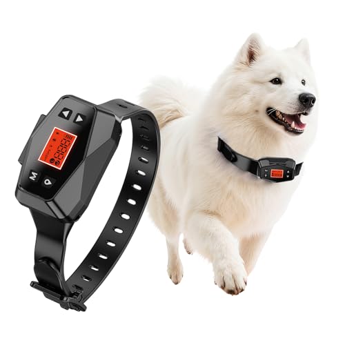 PETHEY Clôture sans fil pour chien Système de clôture étanche IPX7