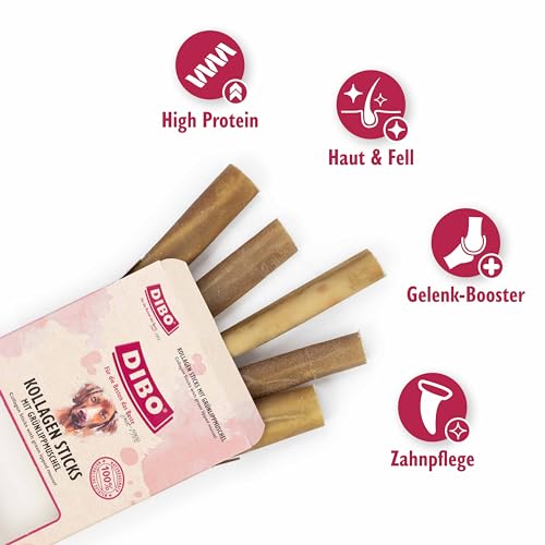 DIBO Kollagen Sticks mit Grünlippmuschel, 150g Packung - Gelenkgesundheit, Haut-, Fell- und Zahnpflege für Hunde, langlebiger Naturkausnack, 100% natürliche Zutaten, Kollagen aus Rinderhaut