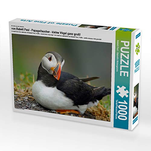 Puzzle 1000 pieces CALVENDO des macareux par Babett Paul pour animer vos soirées cocooning