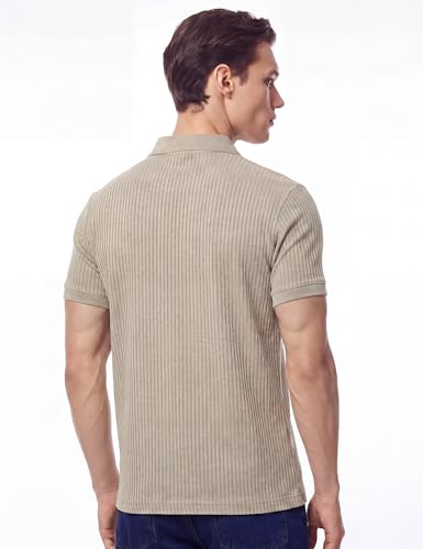 Image of DAMENSCH Men Striped Texture, Cotton-Rich Comfort, Easy Regular fit, Solid Colours Striped Polos