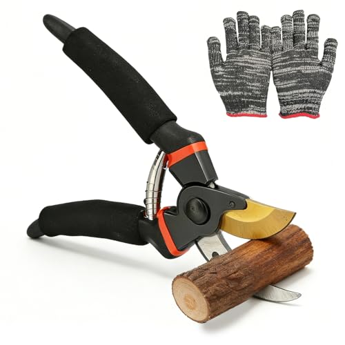 gartenschere, rosenschere,pruning shears,botanische Gartengeräte, Ein Geschenk für Zweige, Hecken und Blumen