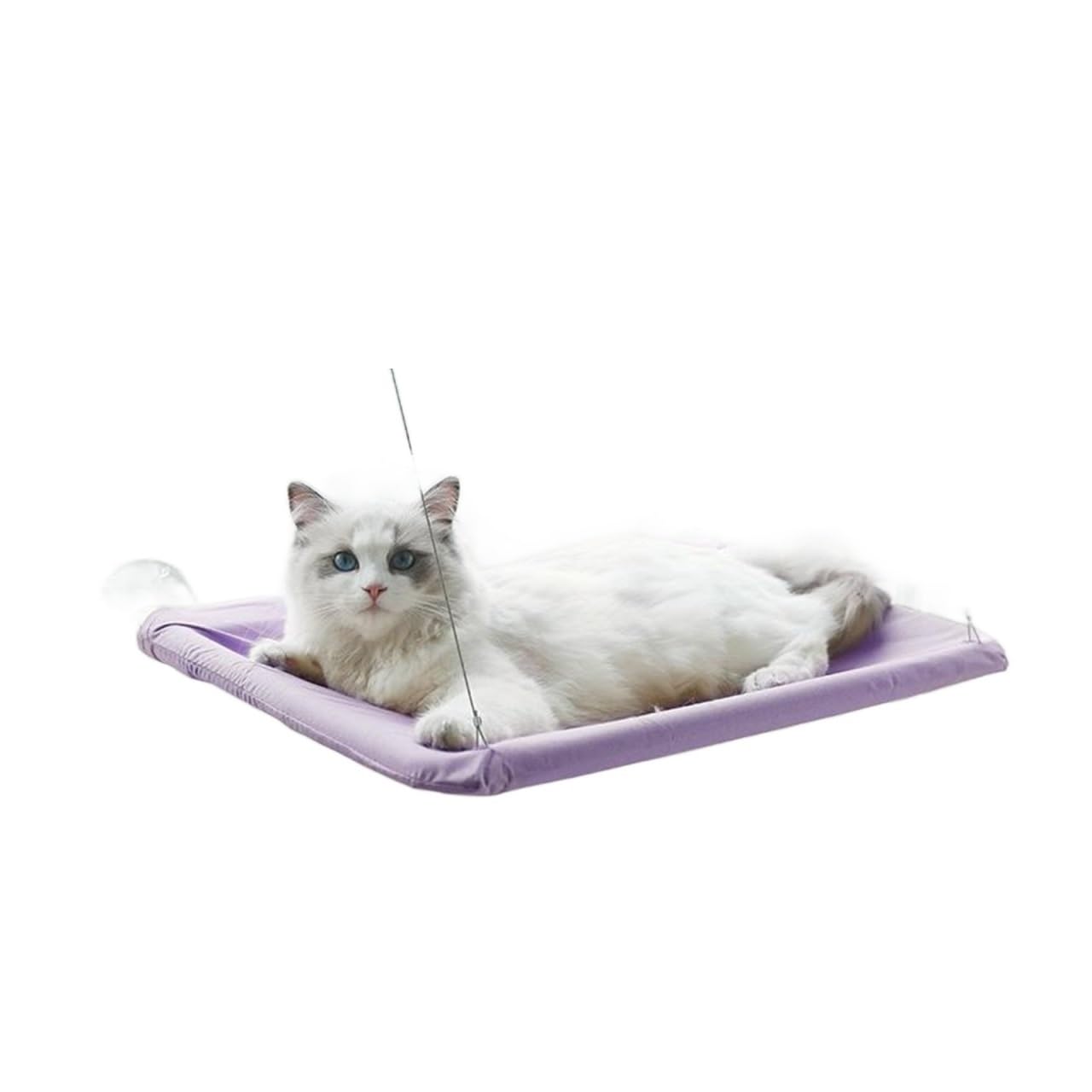 Haustier Katze Hängematte Hängen Bett Lager 20Kg Bequeme Sunny Fenster Sitz Halterung Kätzchen Klettergerüst Zubehör Stabil Komfortabel(Navy Blue)